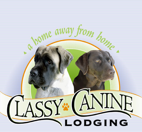 Classy Canine Lodging